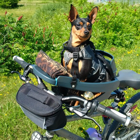 Riding in Style