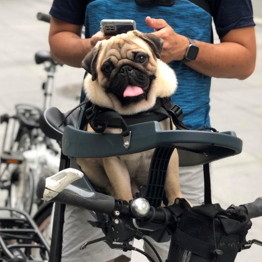 Around the Metro and Beyond