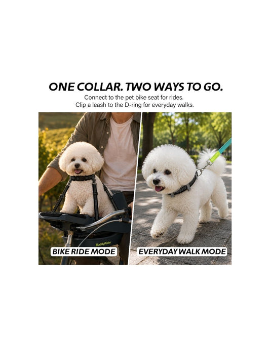 Series 2D Collar™ - XXS