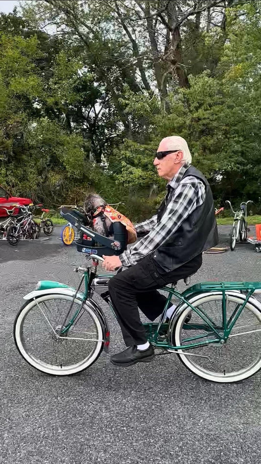 Two Pups and Two Wheels