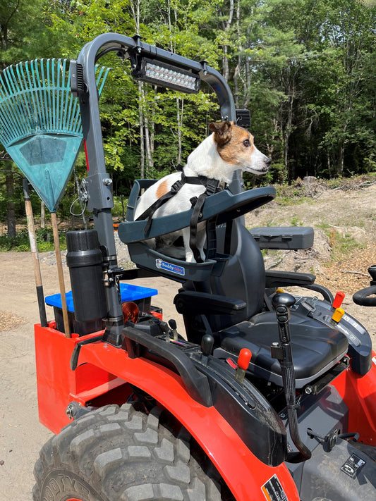 Jimmy's Burlington Adventures: A Dog's Life in the BuddyRider