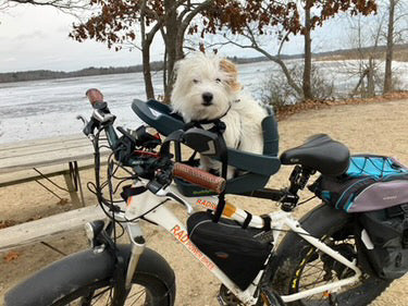 Meet Pete — Alaska's Most Opinionated Four-Legged Co-Pilot