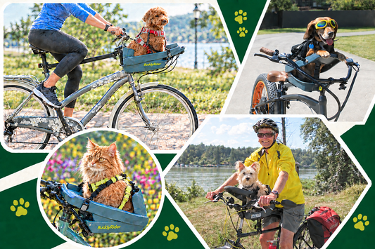 Pet Bike Basket vs. BuddyRider®: Which Rides Better?