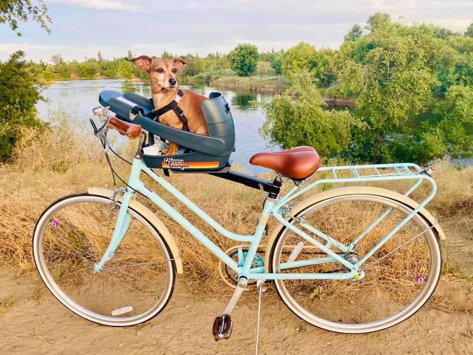 Buddy Rider Best Part of 2020 – Stories of Biking with my Buddyrider – Buddyrider USA