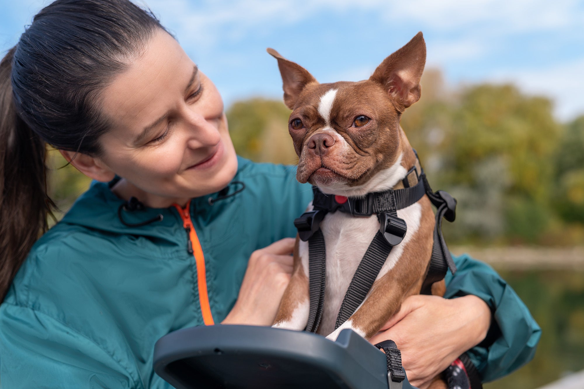 Buddyrider 犬専用自転車シート ALPHAICON | camillevieraservices.com