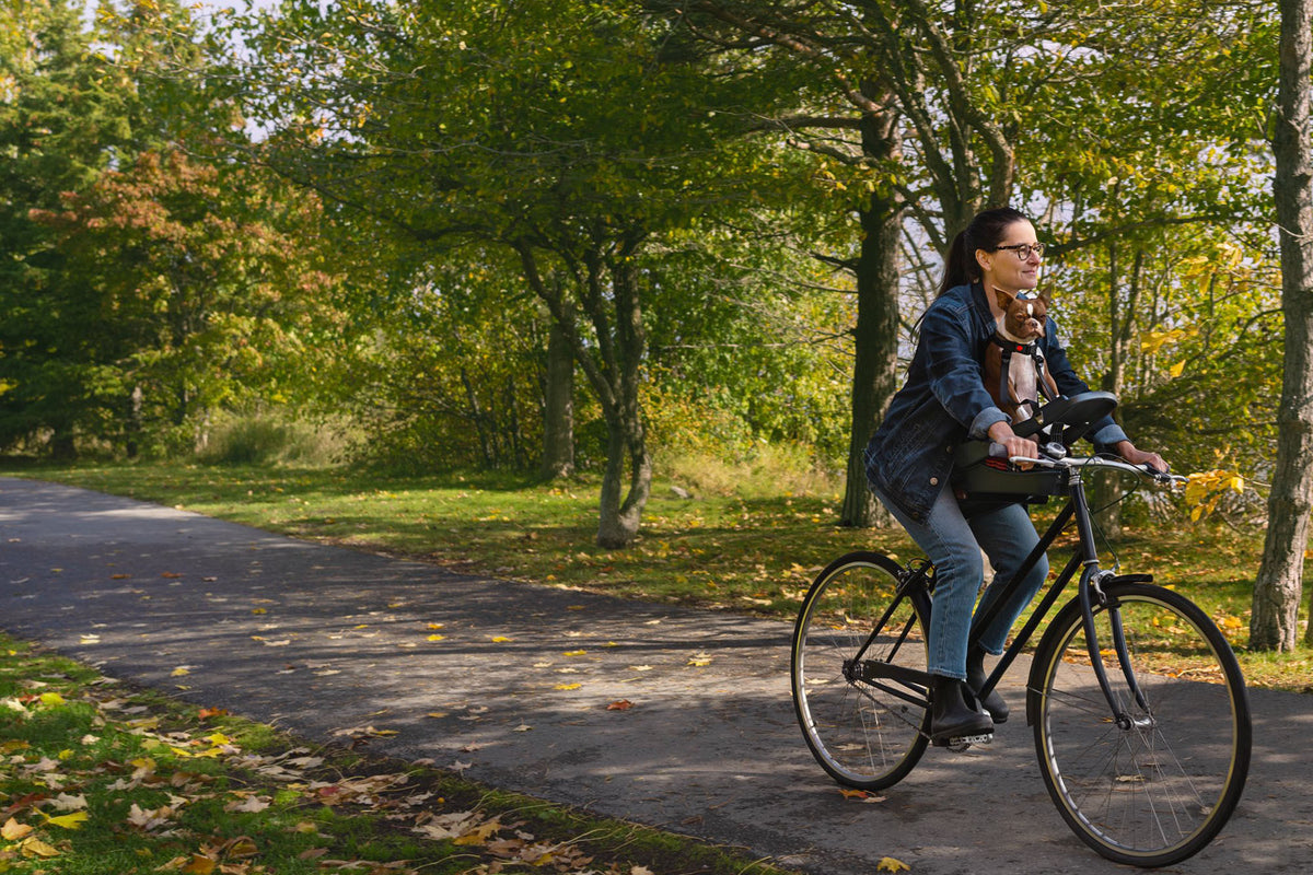 Buddyrider® | Make the World Your Dog Park - Dog Bike Carrier ...