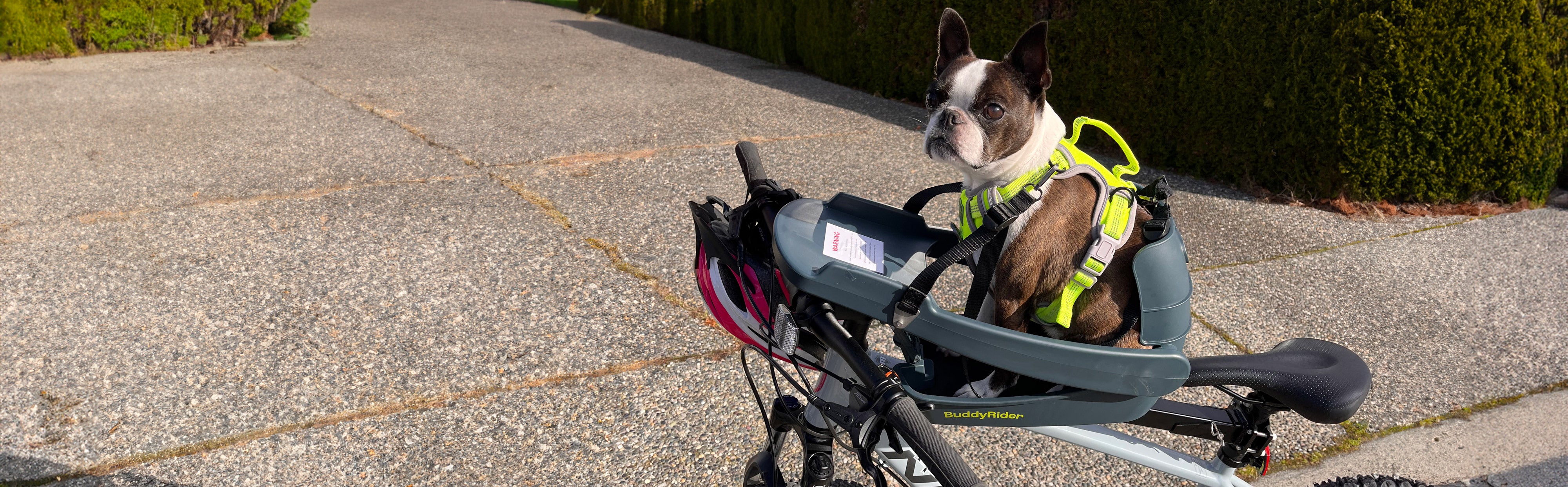 Buddyrider® | Make the World Your Dog Park - Dog Bike Carrier 