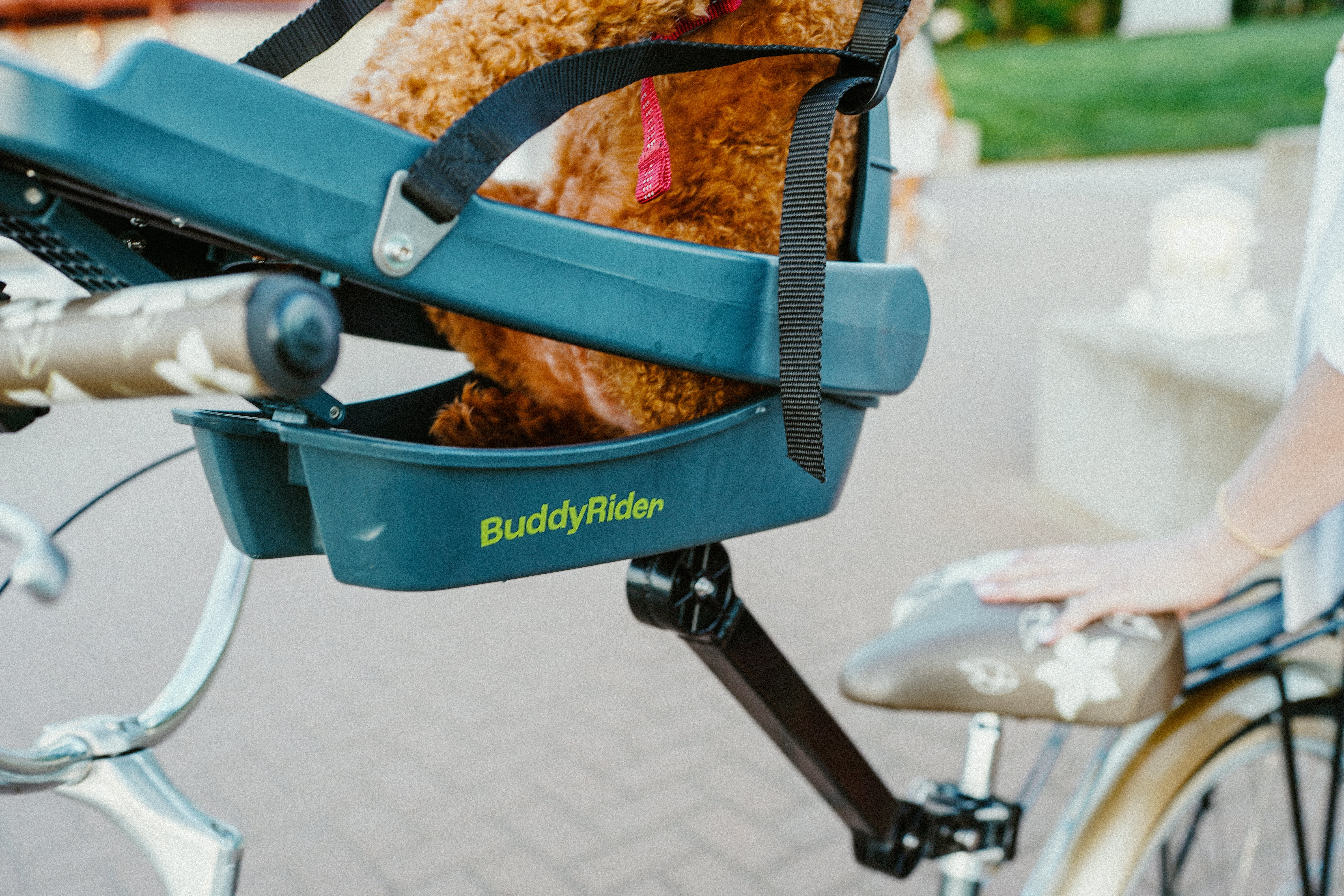Buddyrider® | Make the World Your Dog Park - Dog Bike Carrier