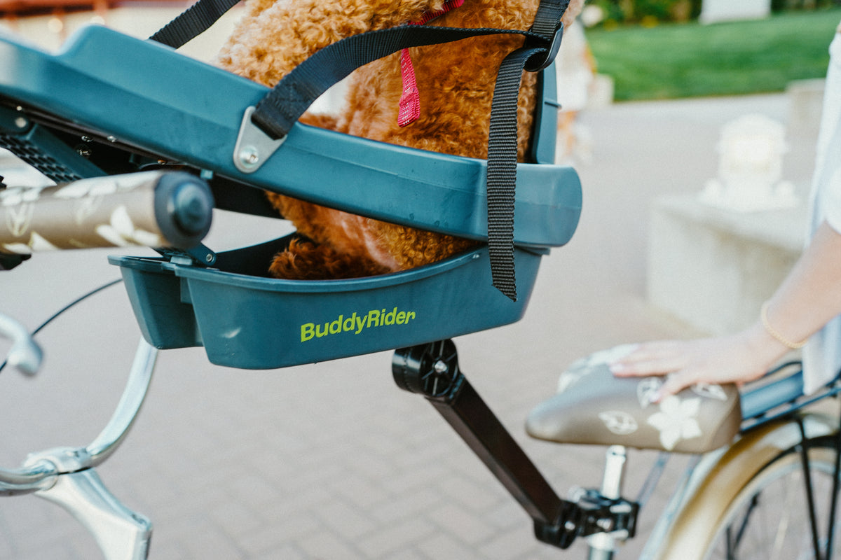 Buddy Rider Buddyrider® | Make the World Your Dog Park - Dog Bike Carrier ...