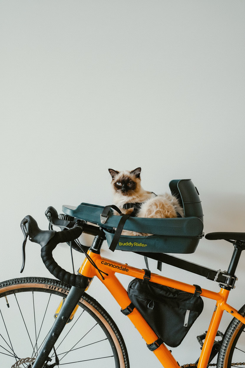 Products – Buddyrider USA