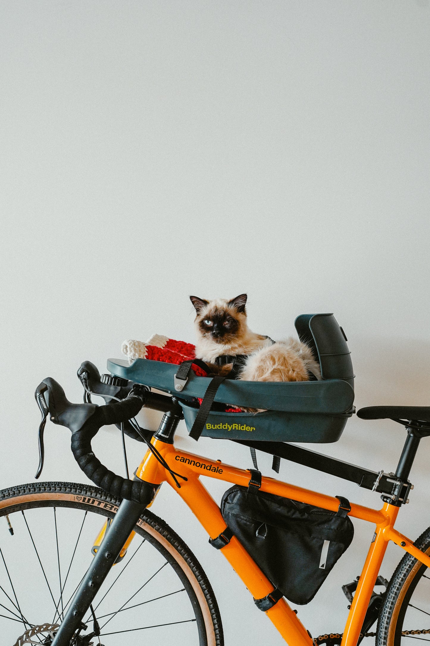 BuddyRider® Series 2 w/Rigid-Arm