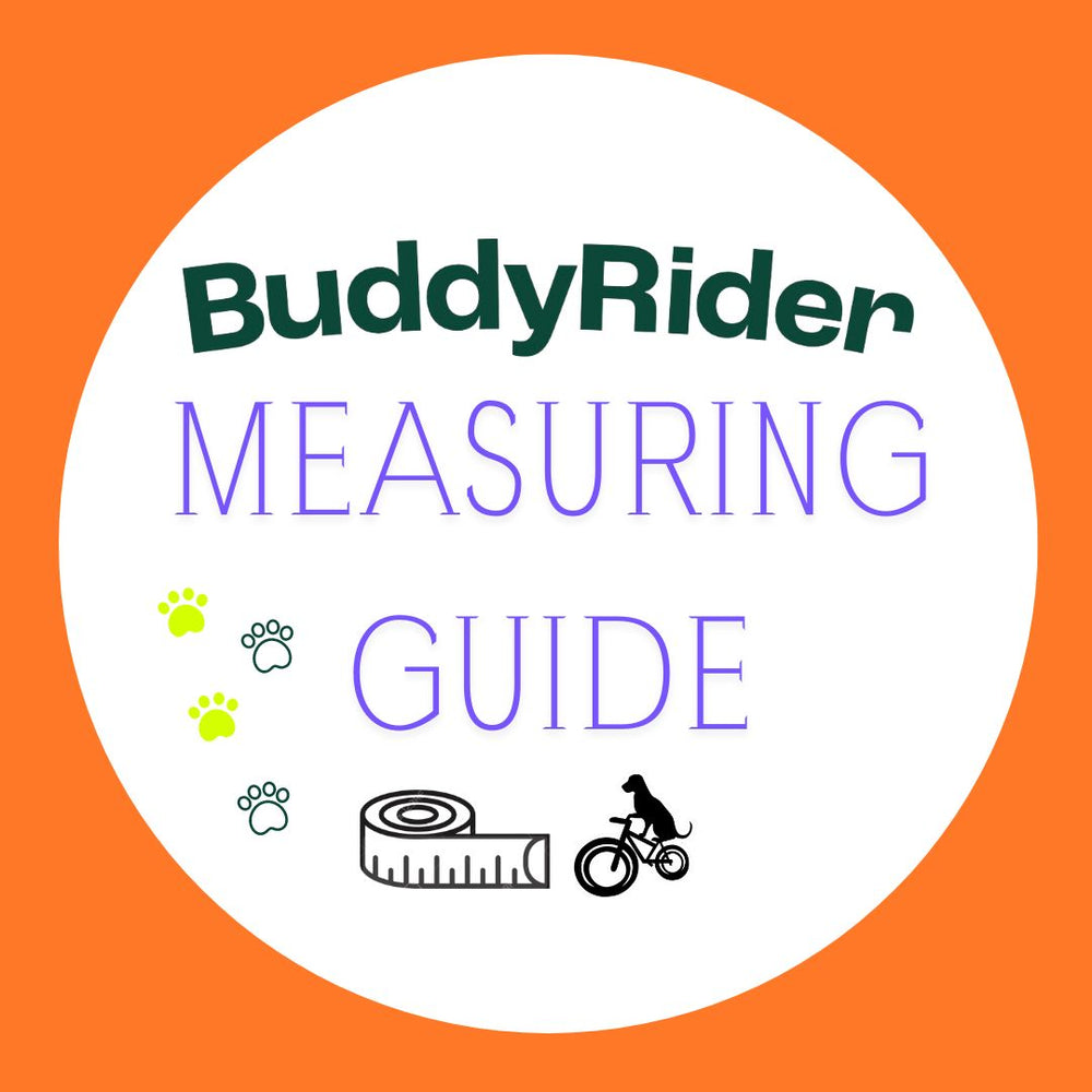 Will My Dog Fit Buddyrider? – Buddyrider USA