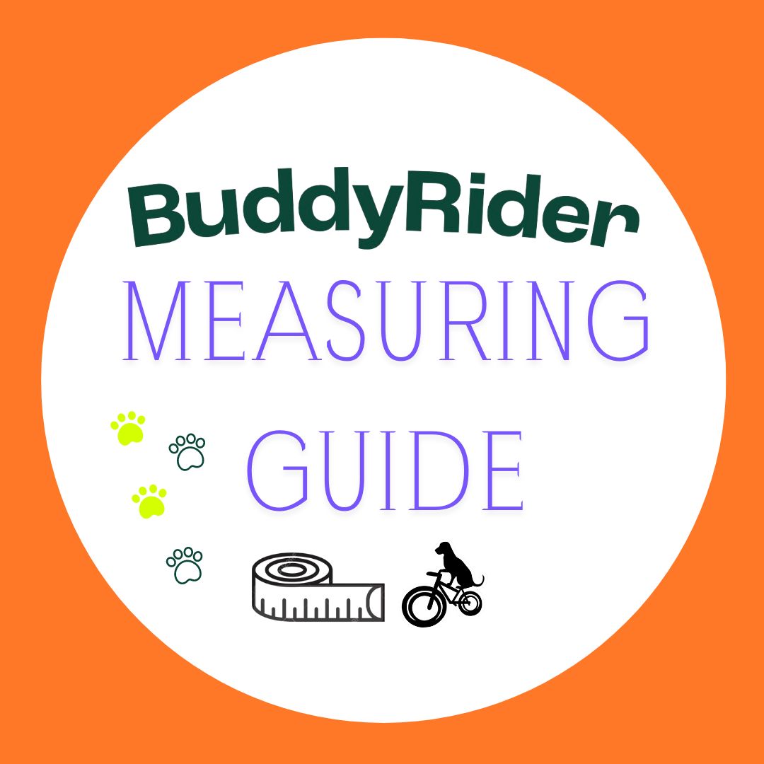 BuddyRider® Series 2-C (Flex-Arm)