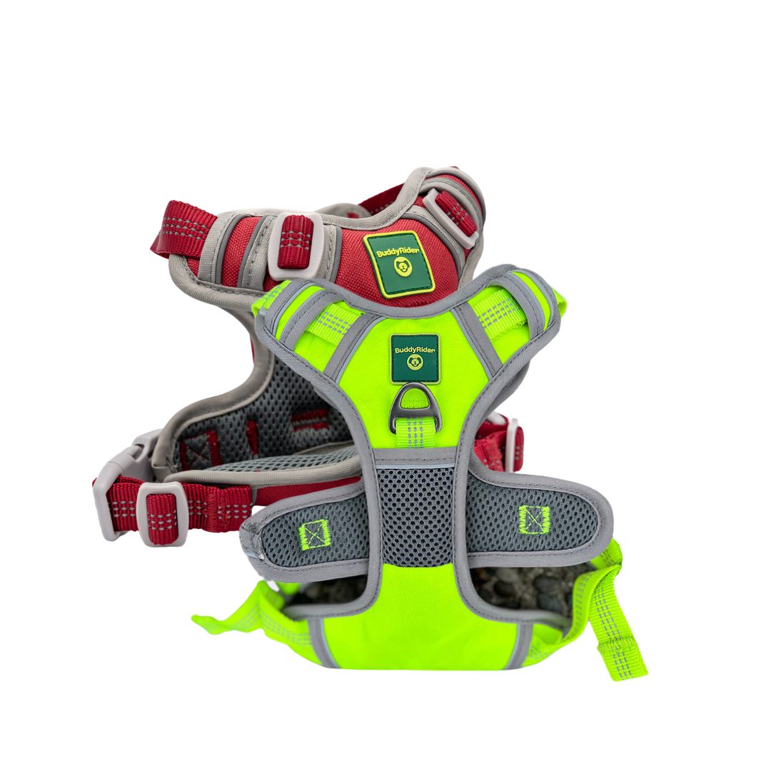 BuddyRider® Harness