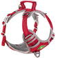 BuddyRider® Harness