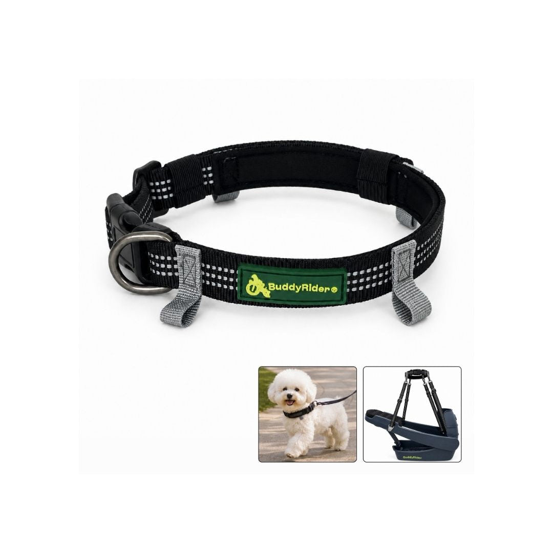 Series 2D Collar™ - XXS