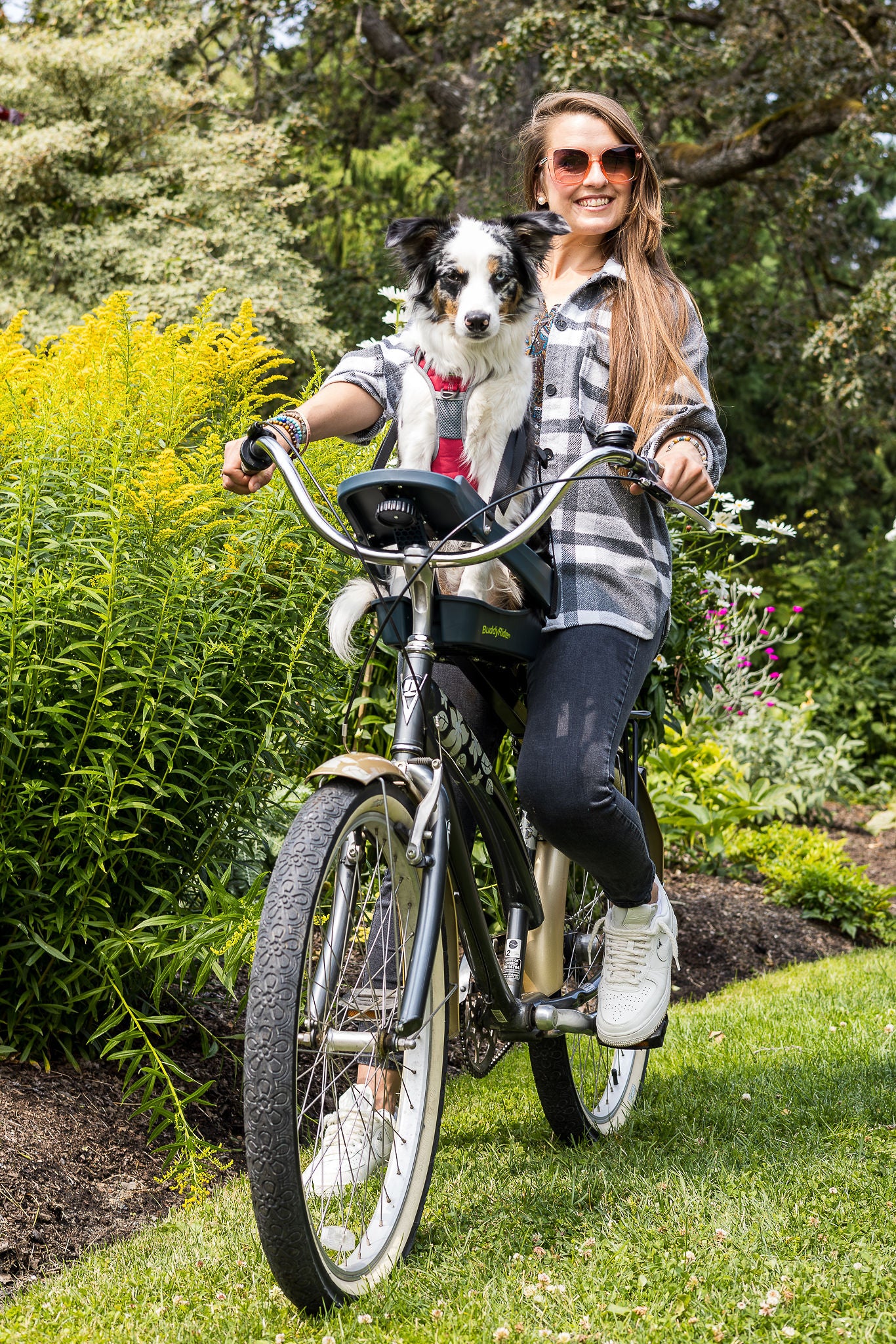 Dog carrier for bike riding sale