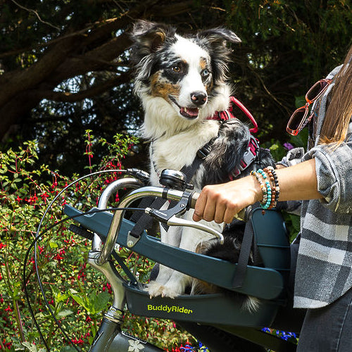 Buddy Rider Buddyrider® | Make the World Your Dog Park - Dog Bike Carrier ...