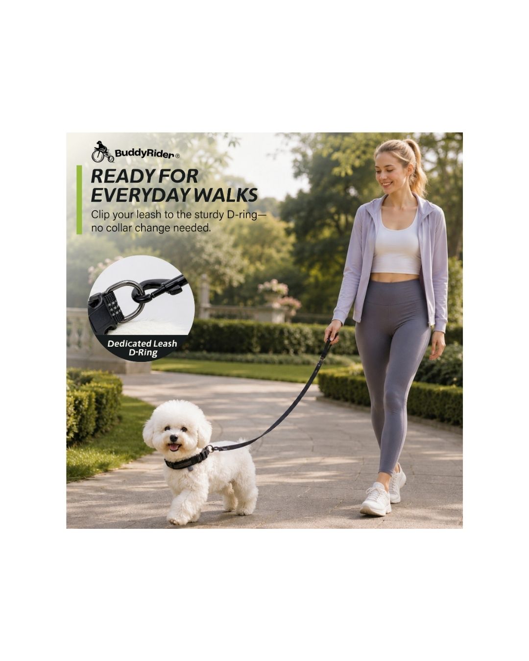 Series 2D Collar™ - XXS