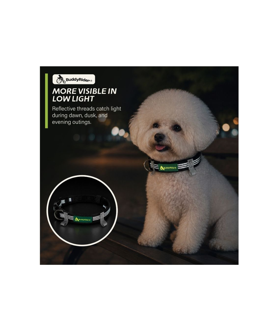 Series 2D Collar™ - XXS