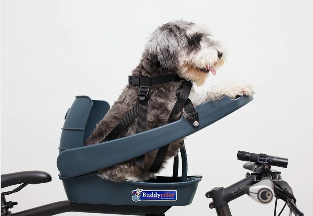 Buddyrider Bicycle Pet Seat Refurbished