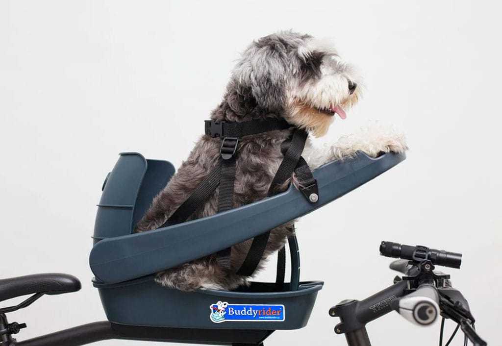 Dog on sale bike holder